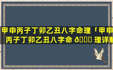 甲申丙子丁卯乙丑八字命理「甲申丙子丁卯乙丑八字命 🐈 理详解」